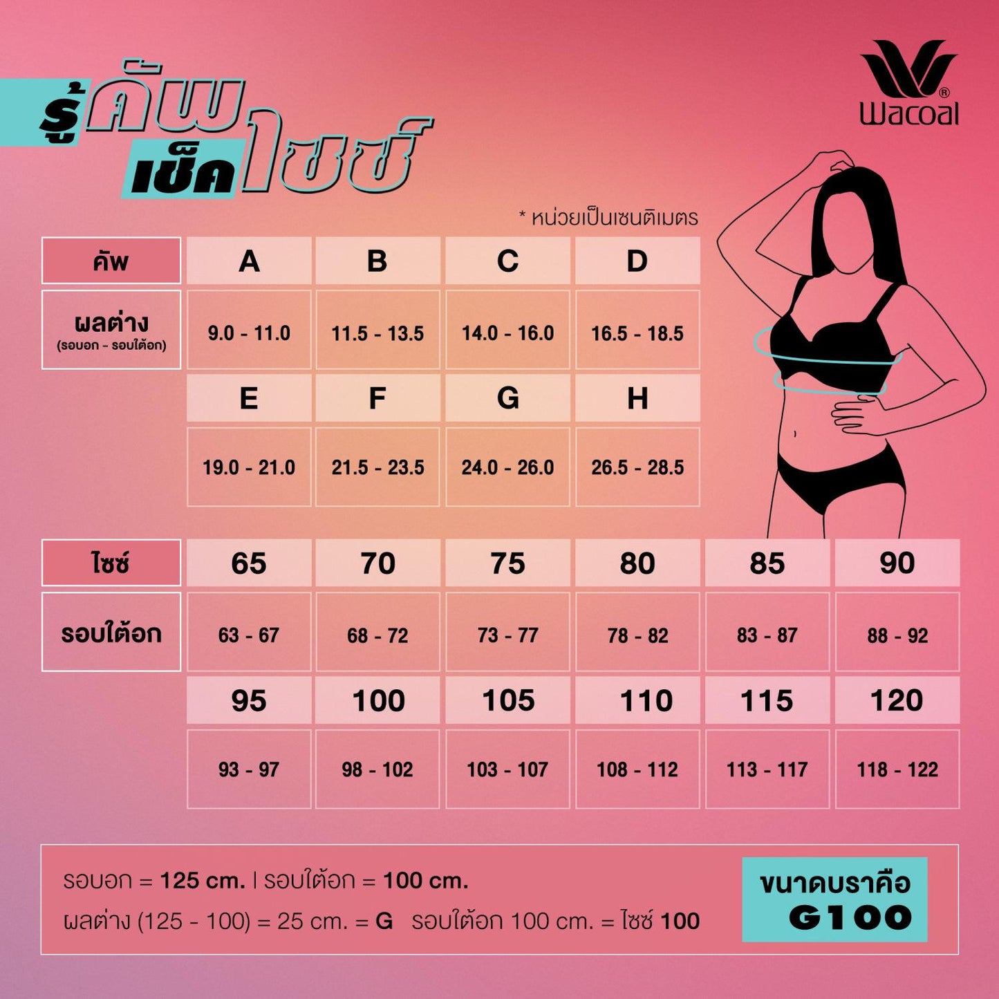Wacoal Curve Diva บราเก็บกระชับ สาวคัพใหญ่ รุ่น WB7951 สีดำ (BL)